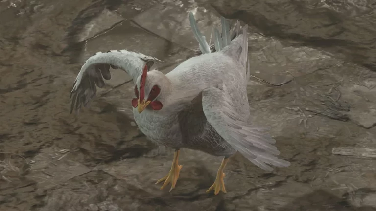 How to Win Chicken Chasing in Baldur’s Gate 3 (BG3)