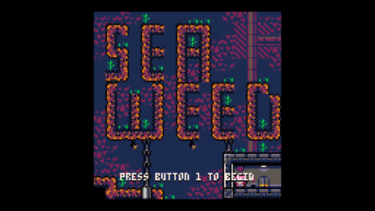 seaweed_image