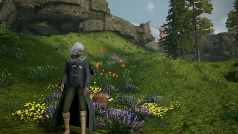 Hogwarts Legacy: All Butterfly Locations?
