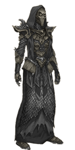 The Elder Scrolls® Online necromancer-class