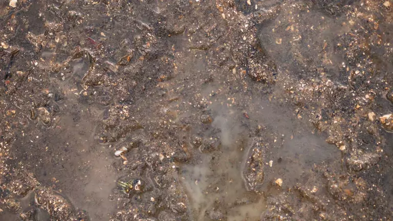 How to Make Mud in Infinite Craft