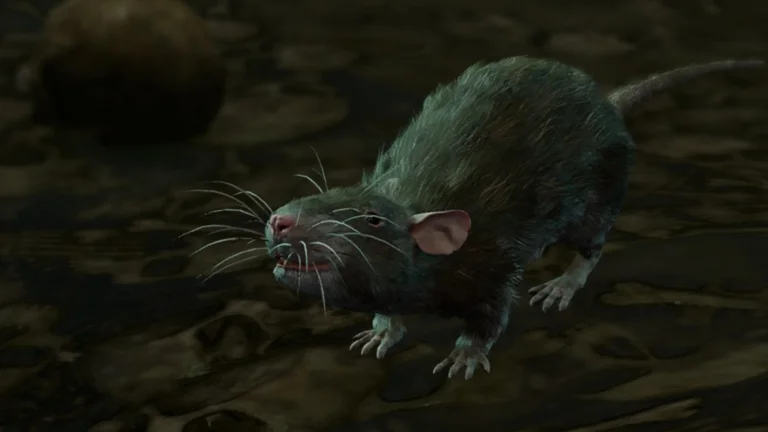 Should You Accept the Rat’s Treasure in the Gauntlet of Shar in Baldur’s Gate 3? – Answered