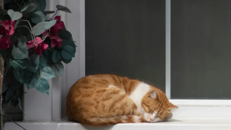 How to Make Cat in Infinite Craft – Recipe Combination Guide