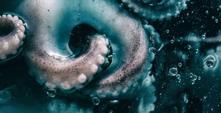 How to Make Cthulhu in Infinite Craft