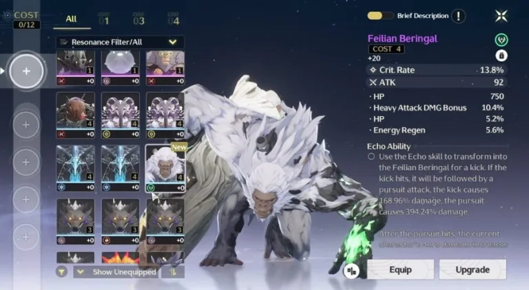 Best Echo Cost Combinations in Wuthering Waves