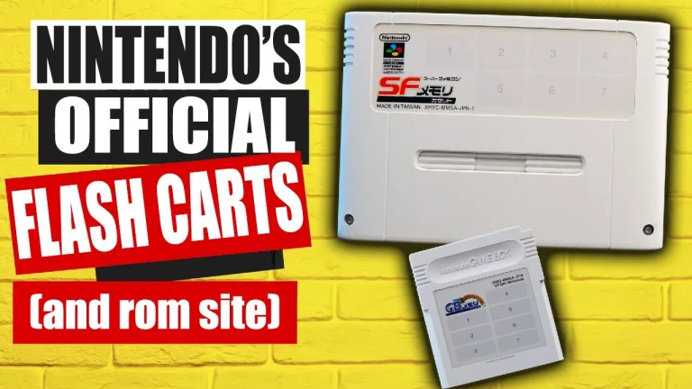 Official 90’s Nintendo “Flash Carts”