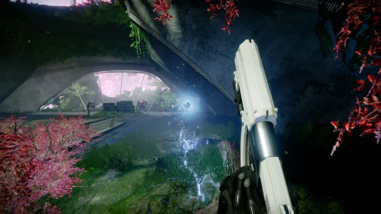 How to Complete Convalescence: Underbrush in Destiny 2