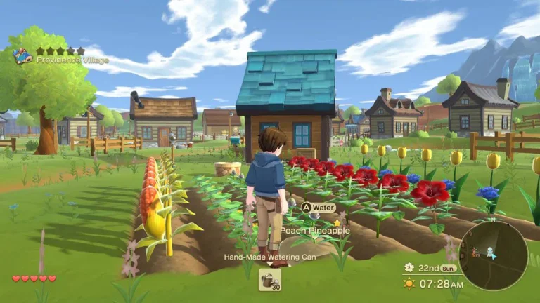 Creating Compelling and Continuous Gameplay in a Cozy Farming/Life Sim Adventure