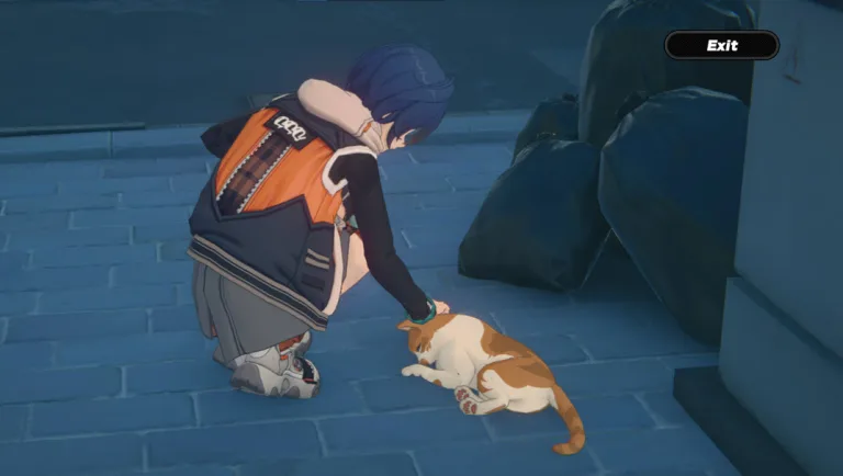 Whats Up with Petting Cats in Zenless Zone Zero?